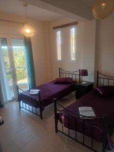 卡兰兹拉Wonderful Villa with great view in Posidi-Kalandra的一间卧室设有两张床和窗户。