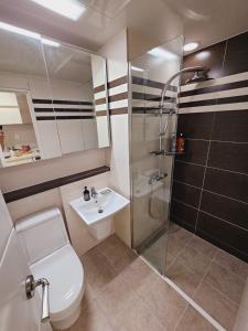 仁川市Emotional House - Night view, Full Options, One Bedroom的带淋浴、卫生间和盥洗盆的浴室