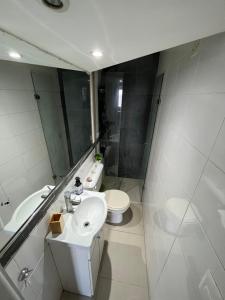 蒙得维的亚Hermoso apto frente al mar.的一间带水槽、卫生间和镜子的浴室