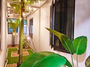 Kota BharuSalaam Suites Hotel的一间棕榈树和窗户的房间