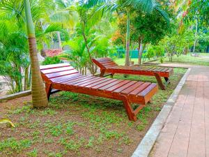 锡吉里亚Pride Rock Villa的三个木凳坐在棕榈树旁边