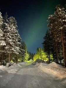列维Ojuspirtti 26B Levi的一条晚上被雪覆盖的树木覆盖的道路