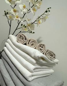 卢布尔雅那Elena Apartments的白色花瓶带毛巾的堆