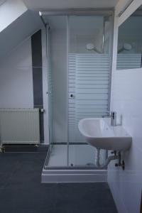 贝西格海姆Ferienwohnung im Besigheim的一间带玻璃淋浴和水槽的浴室