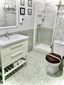 索里亚EL RAMILLETE的浴室配有卫生间、盥洗盆和淋浴。