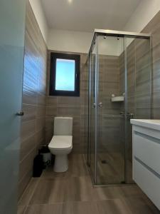 希马拉Endless Blue Himara的一间带卫生间和玻璃淋浴间的浴室