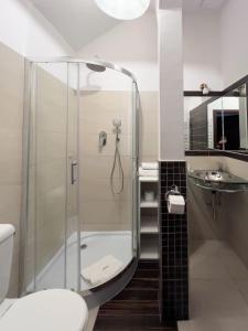 扎莫希奇Kanclerz的带淋浴、卫生间和盥洗盆的浴室