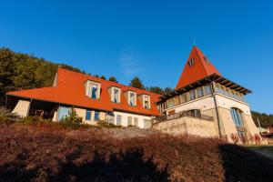 VlahaHarmonia Mundi的一座山坡上带橙色屋顶的大房子