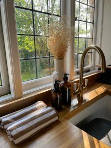 切普斯托The Potting Shed的带水槽的厨房台面和窗户