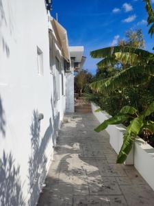 科林比亚Ioanna Studio Διαμέρισμα κοντά στη θάλασσα.的两座白色的植物建筑之间的路径
