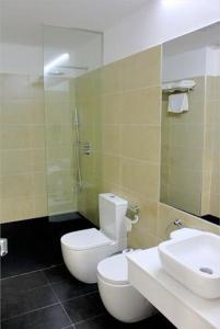 La SolanaHotel La Casota的一间带卫生间、水槽和镜子的浴室