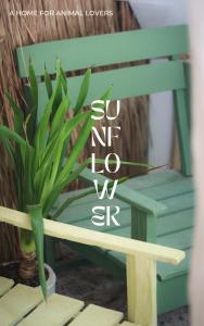 丽贝岛Sunflower Guesthouse and Animal Rescue - Koh Lipe的相册照片