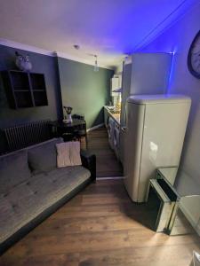 伦敦Bright & Modern Apartment in Hackney Wick E3的带沙发和电视的客厅