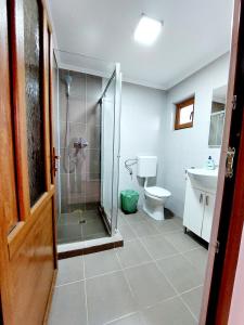 布泽乌Casuta de sub munte的带淋浴、卫生间和盥洗盆的浴室