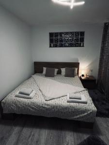 克拉约瓦Lovely 1 bedroom flat in a 2 ground floor house的一间卧室设有一张大床和一个窗户。