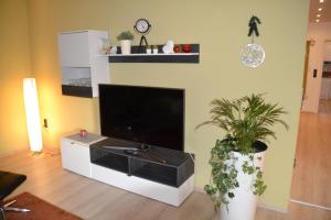 GeorgensgmündFerienwohnung Vera的客厅配有平面电视和植物