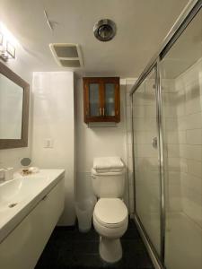 温哥华Condo in Downtown的浴室配有卫生间、盥洗盆和淋浴。