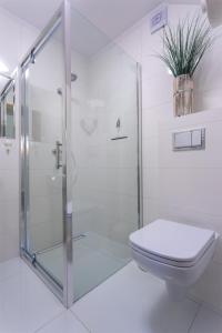 克罗奇琴科Willa Grono的一间带玻璃淋浴和卫生间的浴室