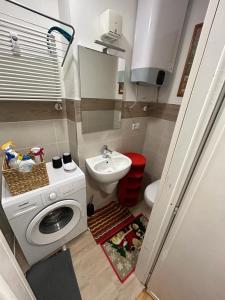 利莫内皮埃蒙特Giappetto House的小型浴室设有洗衣机和水槽。