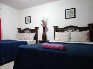 危地马拉Historico maya的粉红色枕头躺在房间里的床边