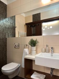 波兹南Expo Apartments的一间带水槽、卫生间和镜子的浴室