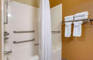 弗洛伦斯辛辛那提 - 佛罗伦萨 - 特夫维路长住公寓式酒店的带淋浴和白色淋浴帘的浴室