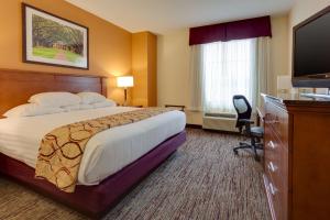 巴吞鲁日Drury Inn & Suites Baton Rouge的配有一张床和一台平面电视的酒店客房