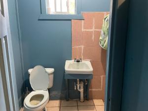 Coxen HoleNo Regrets的一间带卫生间和水槽的小浴室