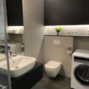 罗兹Central Park Apartment的浴室配有盥洗池、卫生间和洗衣机。