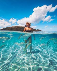 KuataBarefoot Kuata Island Resort的带着鱼在水里冲浪板的女人