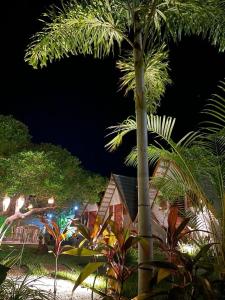 圣米格尔-杜戈斯托苏Pousada Villa di Luna的夜晚在房子前面的棕榈树
