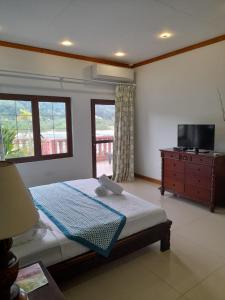 马埃岛Bayview Villa -Sea Side Villa的一间卧室设有一张床、一台电视和窗户。