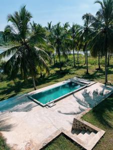 达瓦拉维Tsuru Villa的棕榈树前的游泳池