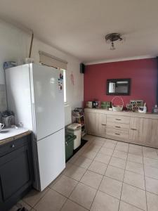 马尔梅迪Mevazara guesthouse的厨房配有白色冰箱和红色墙壁
