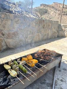 Hiking break的烤肉架上的烤肉和蔬菜