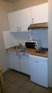 鲁汶Room in Studio - Condo Gardens Leuven - Budget Studio Single的一间带水槽和微波炉的小厨房
