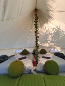 琅勃拉邦Glamping Laos的帐篷里三张床