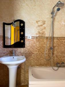 亚的斯亚贝巴Mad Vervet Backpackers Hostel的浴室配有盥洗盆和带镜子的淋浴