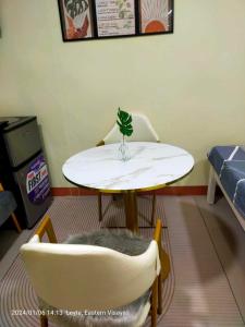 独鲁万Studio Guest Suite Near The New EVRMC Hospital & San Juanico Bridge Tacloban City, Leyte, Philippines的桌子和椅子,上面有植物