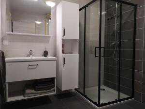 上拉德戈纳Apartma Elton的一间带水槽和淋浴的浴室