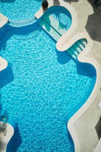 阿尔库迪亚普林索特马斯帕斯酒店的水中海豚的游泳池