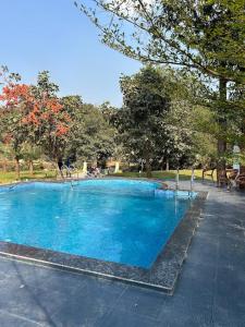 内拉尔Grand Celebration Resort的公园里的一个大型蓝色游泳池