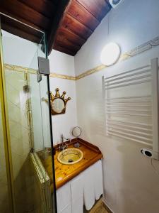 CampinhoÉ um Descanso的一间带水槽和玻璃淋浴的浴室