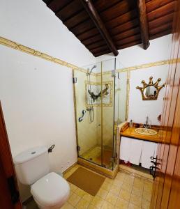 CampinhoÉ um Descanso的带淋浴、卫生间和盥洗盆的浴室
