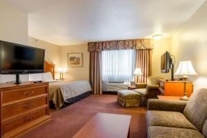 莱恩斯Quality Inn Alliance的配有一张床和一台平面电视的酒店客房