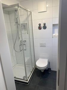 海尔布隆Neckar-Apart的带淋浴和卫生间的浴室