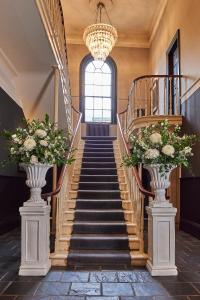约克约克杜维比斯图酒店的花花花花花花花花花花的楼梯