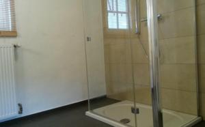 辛齐希Ferienhaus-Loehndorf的浴室里设有玻璃门淋浴