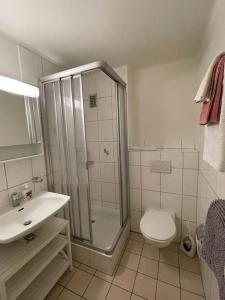 洛桑Appartement élégant & ensoleillé的带淋浴、卫生间和盥洗盆的浴室