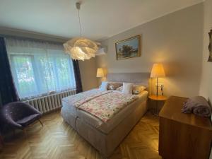赫维兹Villa Trófea的一间卧室配有一张床、一把椅子和一个吊灯。
